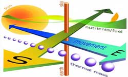 Vastu Consultancy Vastu Consultancy